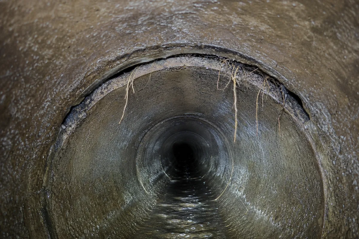 Détail de l&rsquo;écran d&rsquo;inspection montrant une racine infiltrée dans un joint de canalisation en grès, gros plan sur le défaut éclairé par la caméra
